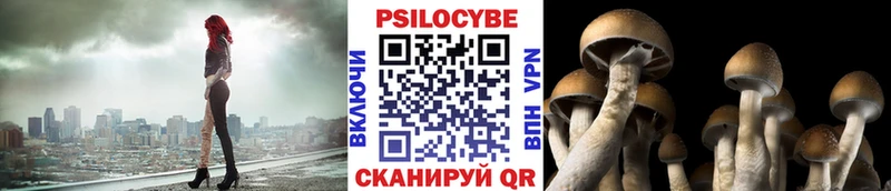 Галлюциногенные грибы Psilocybine cubensis  Купить  Майский 
